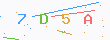 验证码